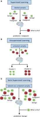 Semi-supervised learning in cancer diagnostics